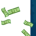 💸
