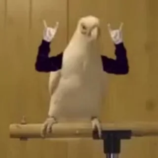 🕺