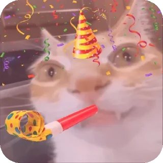 🎉