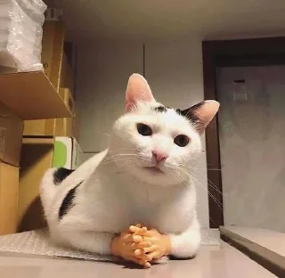 🤨