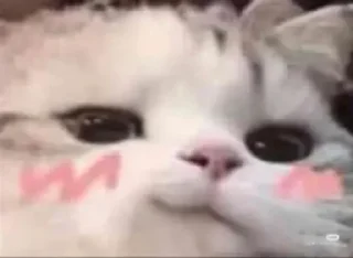 🤪