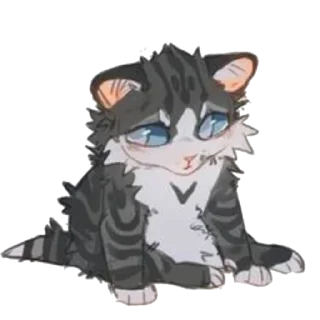 🐱