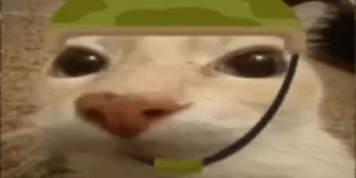 🪖