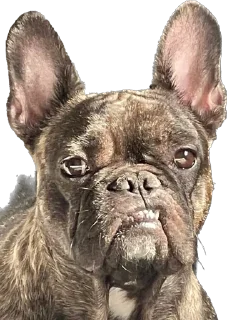 🤨