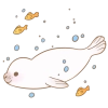 Little white seal