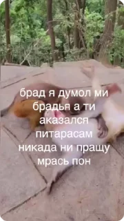 👿