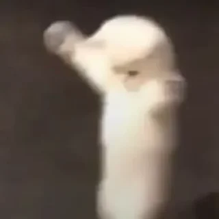 🥳