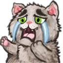 😿