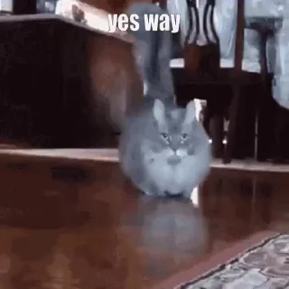 😍