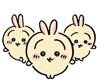 🐰