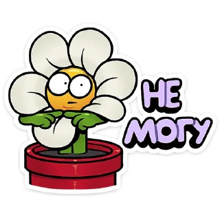 ⭐