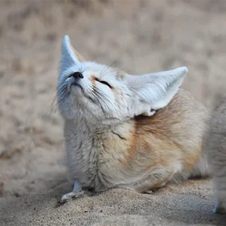 😌