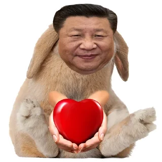 ❤️
