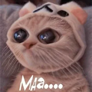 🤨