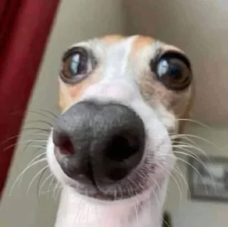 😄