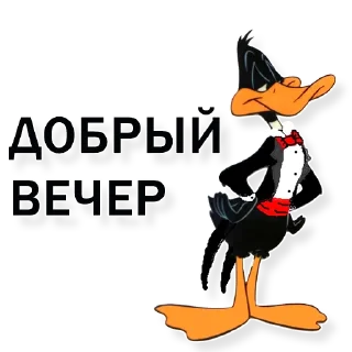 ✌