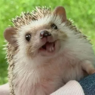 😀