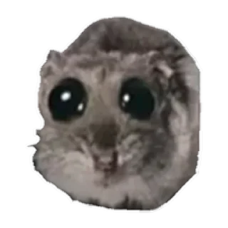 sad hamster by weekkoi