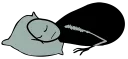 😴