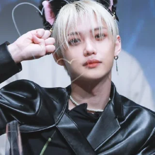 🐱