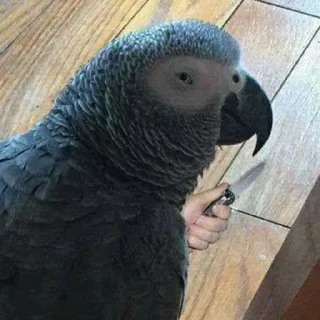 😑