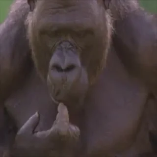 🤨