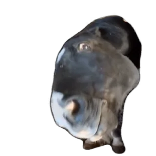 😱