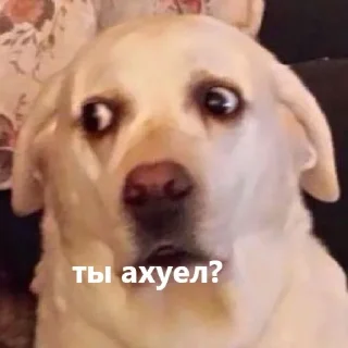 😠