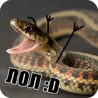 😂