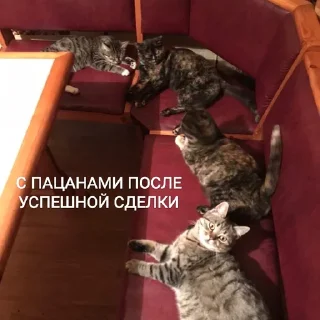 😎