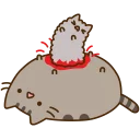 🐱