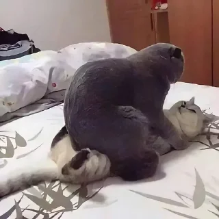 😍