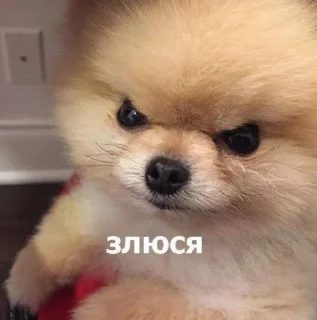 😠
