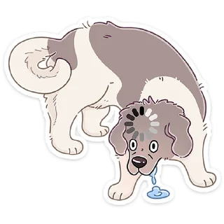 🐶