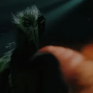 🕸️