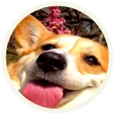 😀