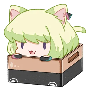 🐱