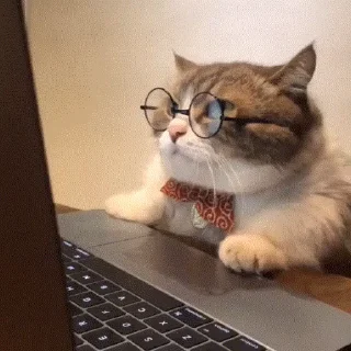🤓