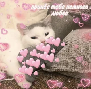 💓
