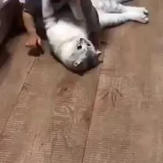 😁
