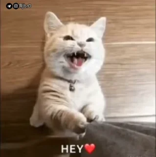😊