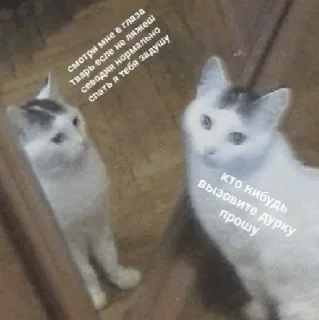 😵‍💫
