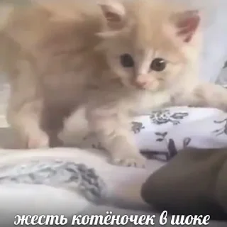 😦
