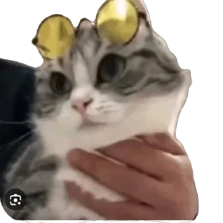 🫥