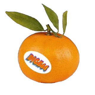 🍊