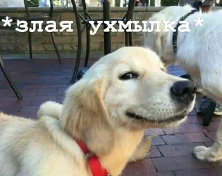 😏