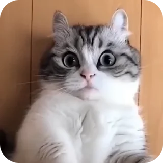 🤯