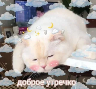 🌞