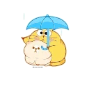 ☔️