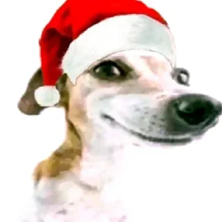 🎅
